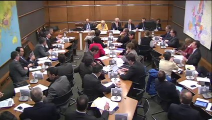 Interdiction de la mise en culture du maïs génétiquement modifié MON810 - Mercredi 26 Février 2014