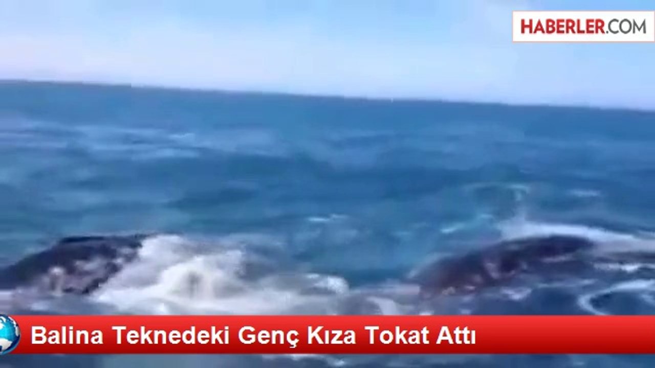 Balina Teknedeki Genç Kıza Tokat Attı