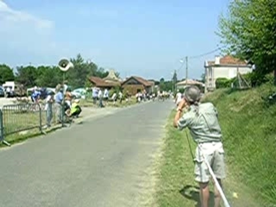 daubeze