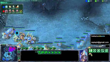 AcE vs Moon PvZ IEM 2011 g5 Türkçe Anlatım