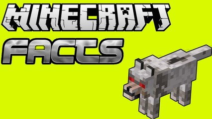 Minecraft Factual Facts: Wolf
