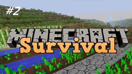 Minecraft Survival: My Little Farm | Episode 2