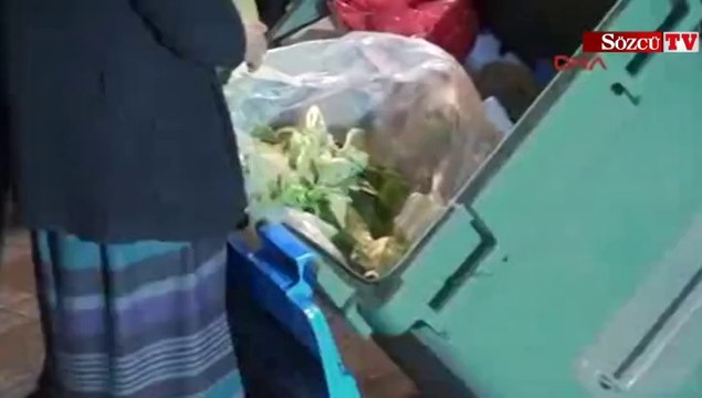 Yürüyüş yapanlara aldırmadan çöpte yiyecek aradı