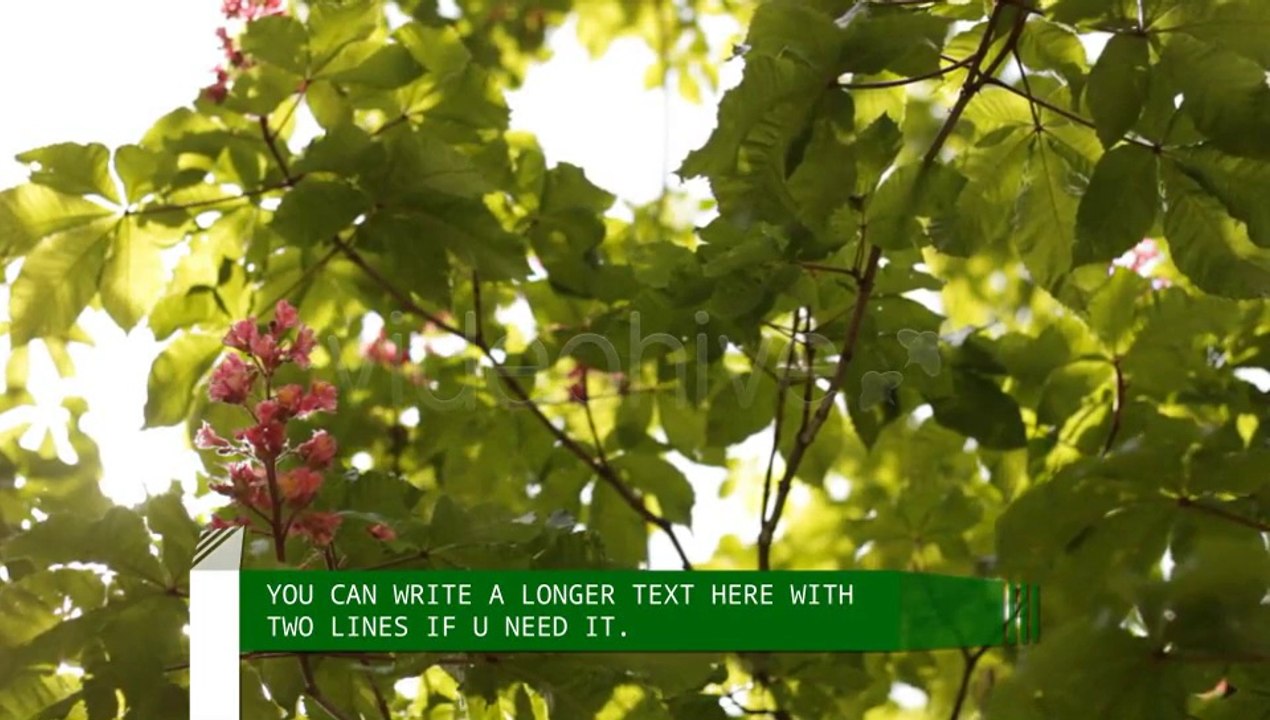 Lower And Upper Third - After Effects Template