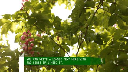 Lower And Upper Third - After Effects Template