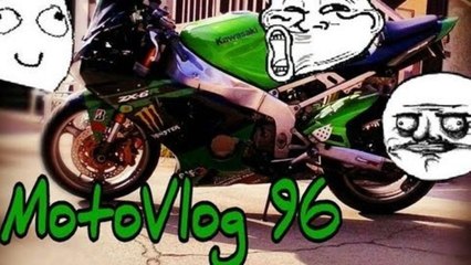 Dog Using Crosswalk, Greedy Homeless Guys,  And City Lane Splitting