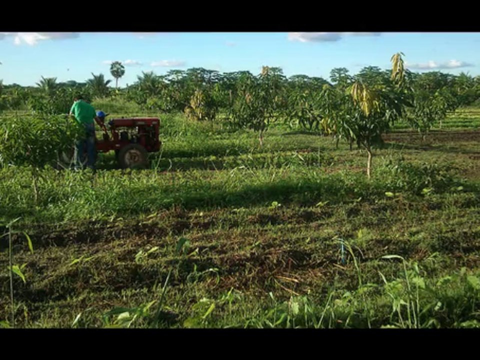 Agricultura justa