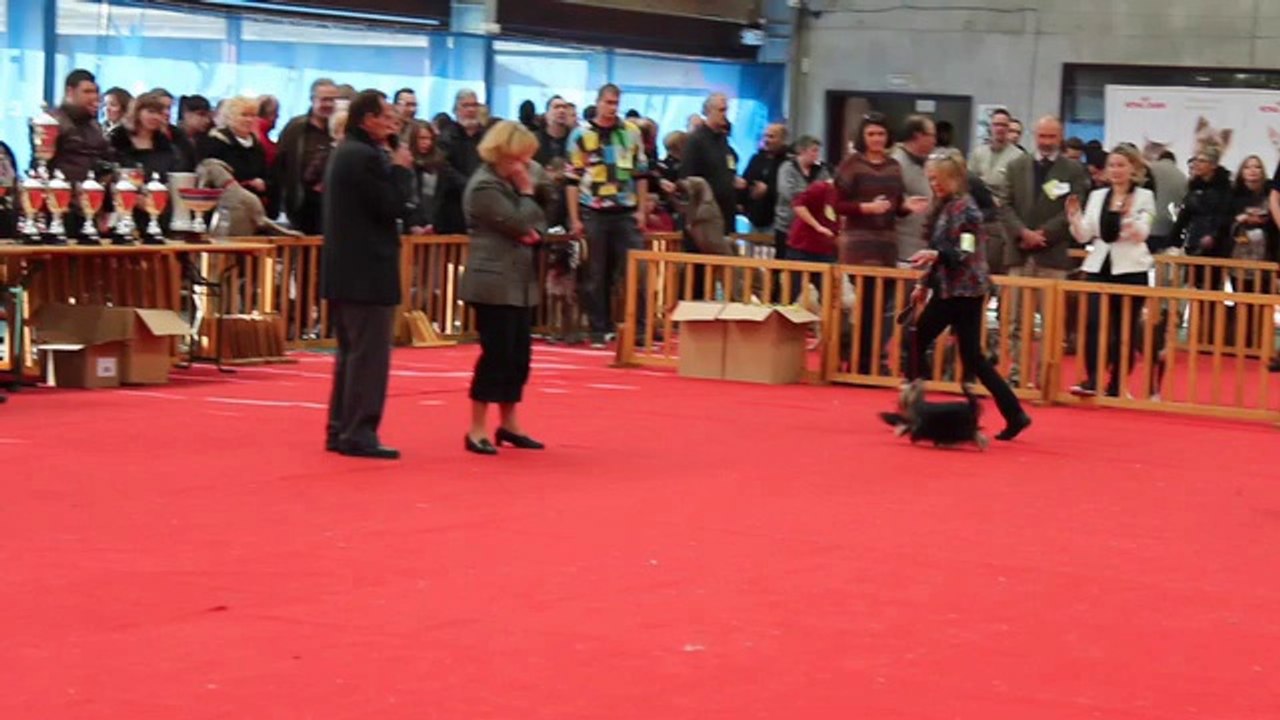 Flixecourt 2014 Haute Couture2