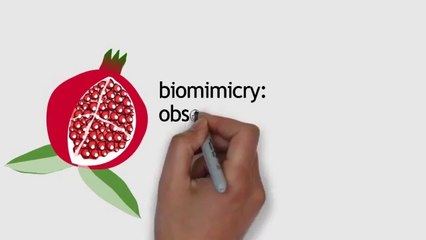 Regenerative Leadership Institute