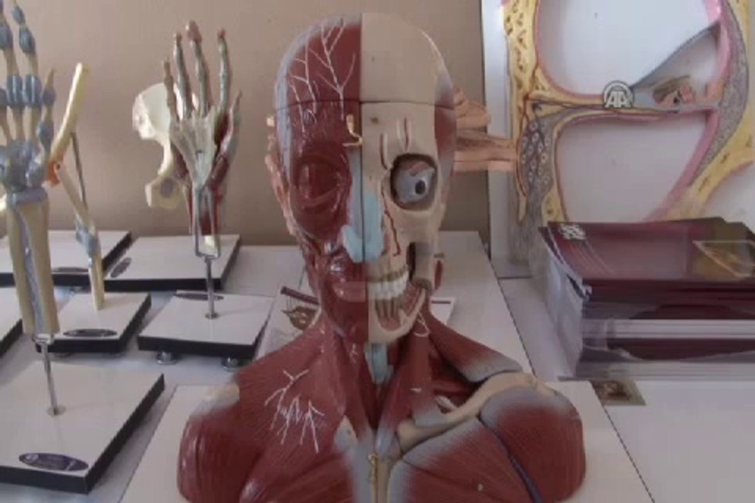 İnsan vücuduna en yakın anatomik maketi ürettiler