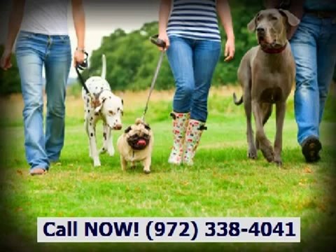 Apartments for Rent in Dallas TX Dallas Apartment for Rent