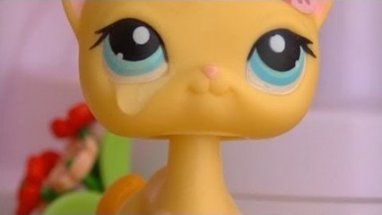 ♥ LPS Troublemaker - Episode 8 (True or False) ♥
