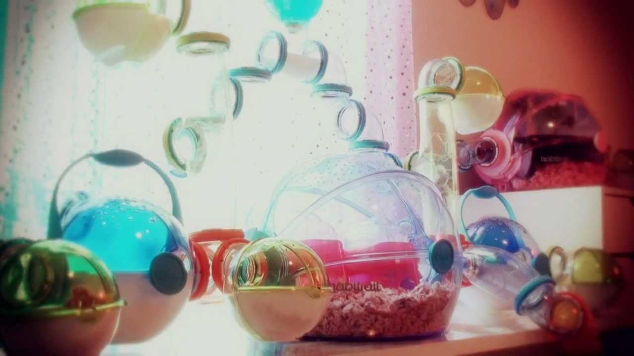 Wonton's Wonderland