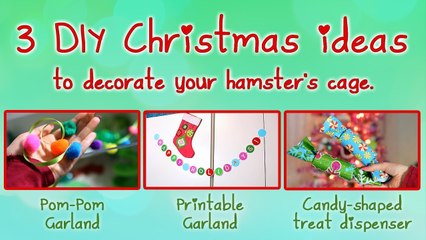 3 DIY Christmas ideas to decorate your hamster's cage!