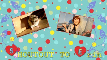 Shoutout to Erin'sHamsters!