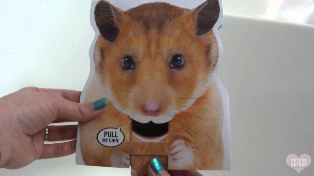 Talking hamster card