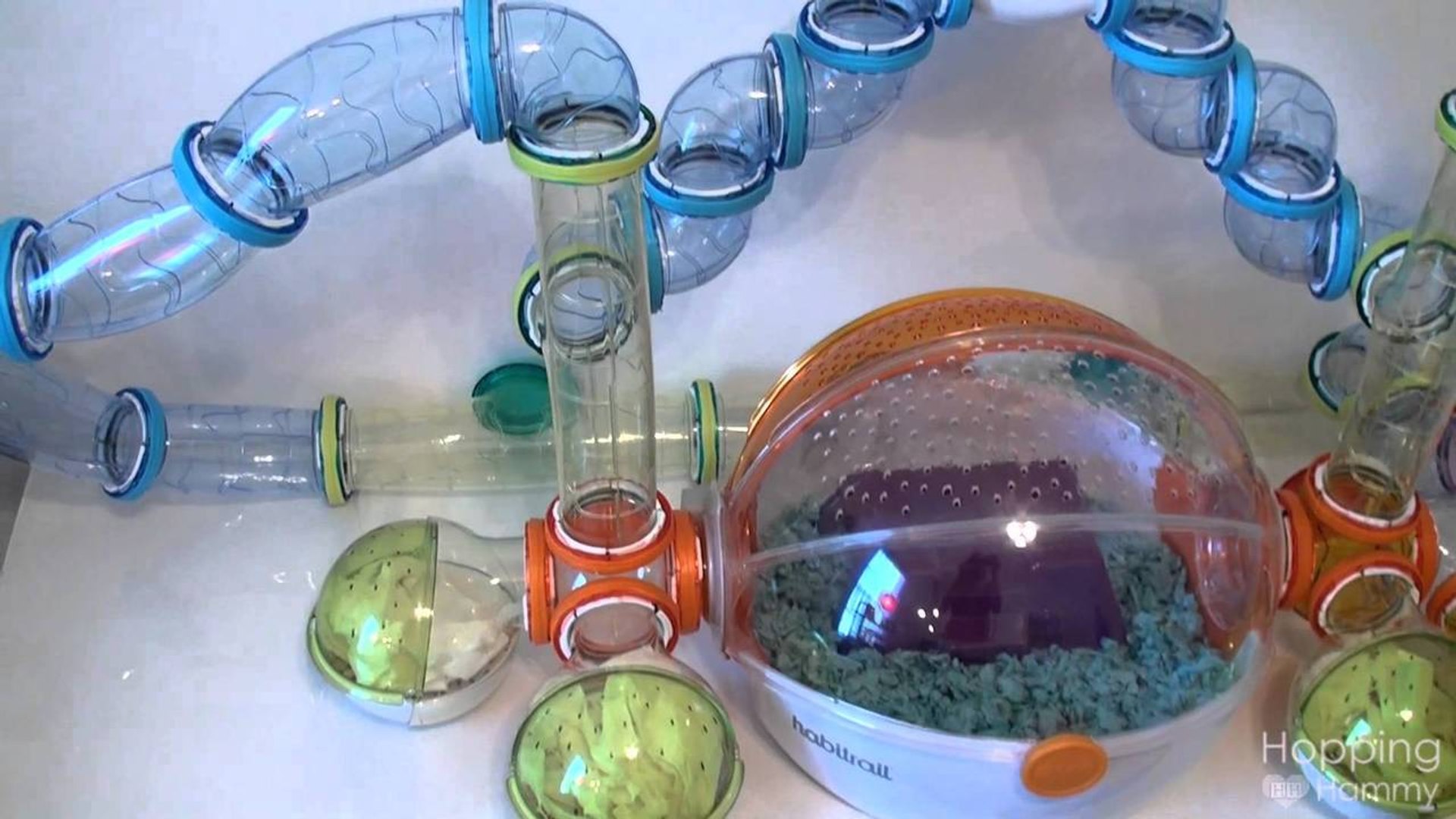Official Hamster Room Tour Video Dailymotion