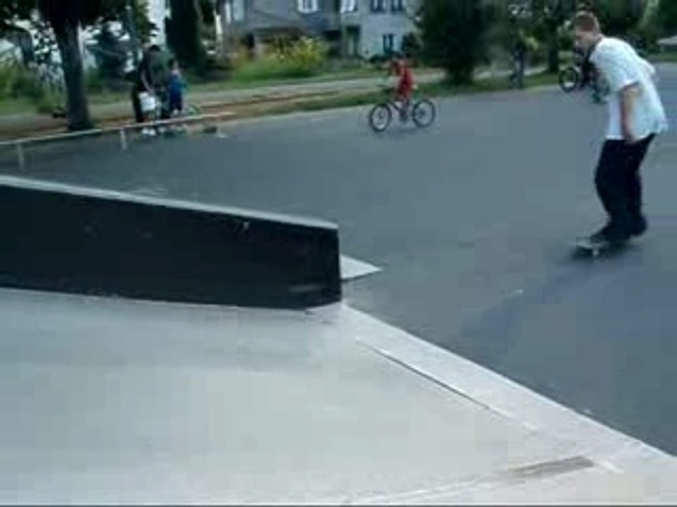 Fun Session Dumb Session 2 Skate