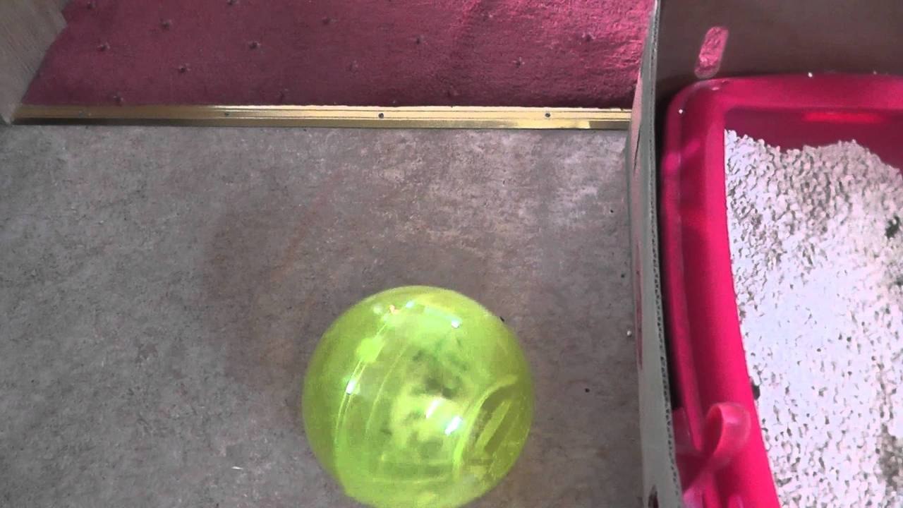 Lemonsweets | Exercise Ball (First Time) Why Do I Find This So Funny?