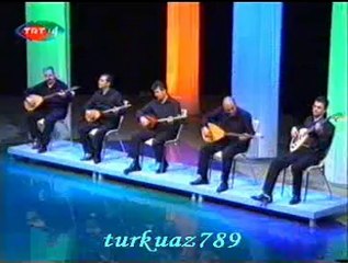 Gülhan AKSOY-Bu Tepe Pullu Tepe