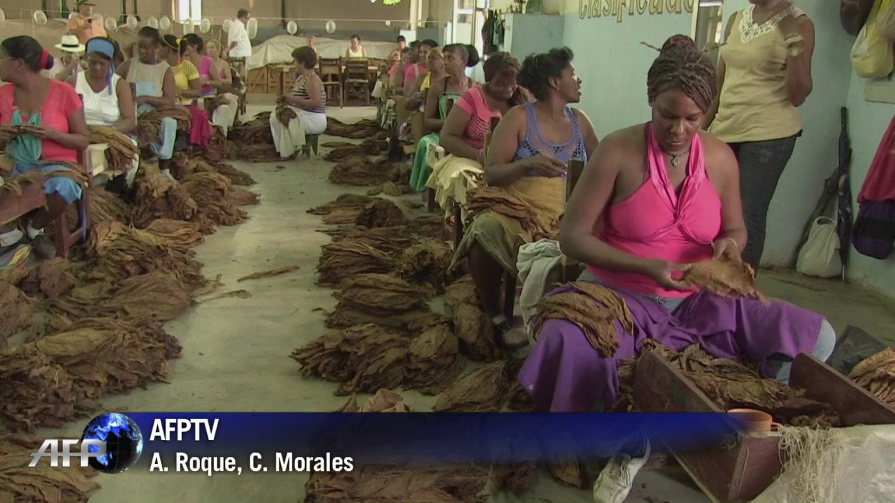 Manos cubanas que producen millones