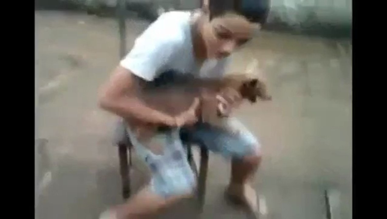 Hündchen zum Aufziehen