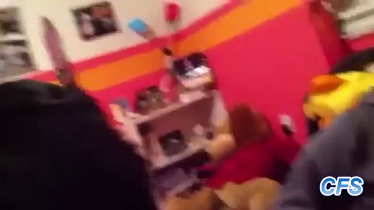 Hunde die mit ihren Besitzern streiten