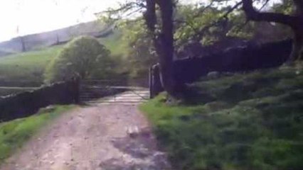 Part One: Trail riding trx400ex honda ( read description )