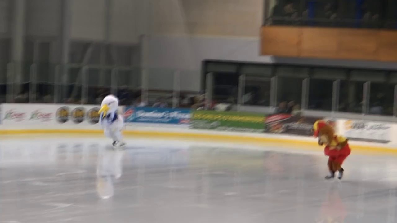 Le camping du Goulet à Brest sponsor des Albatros