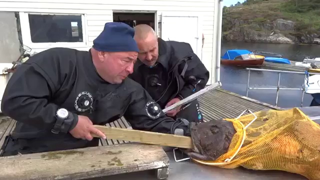 In Russland fangen die Fische dich!
