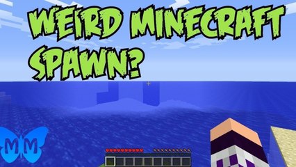 WTF WEIRD MINECRAFT SPAWN