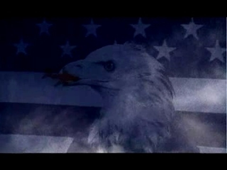 Aigle2-chillhome.tv