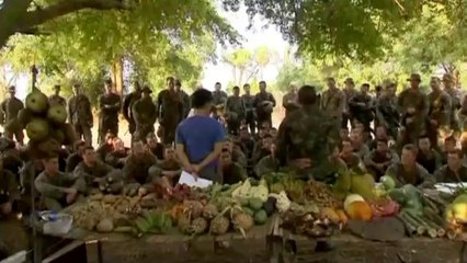 Sipping snake blood in U.S.-Thai boot camp