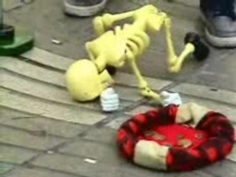 Skeleton