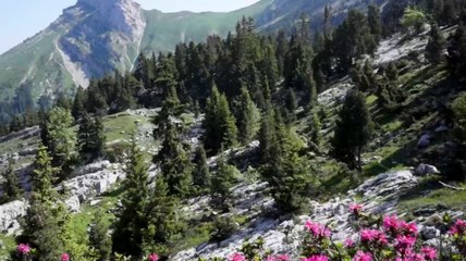 Le massif de la Chartreuse