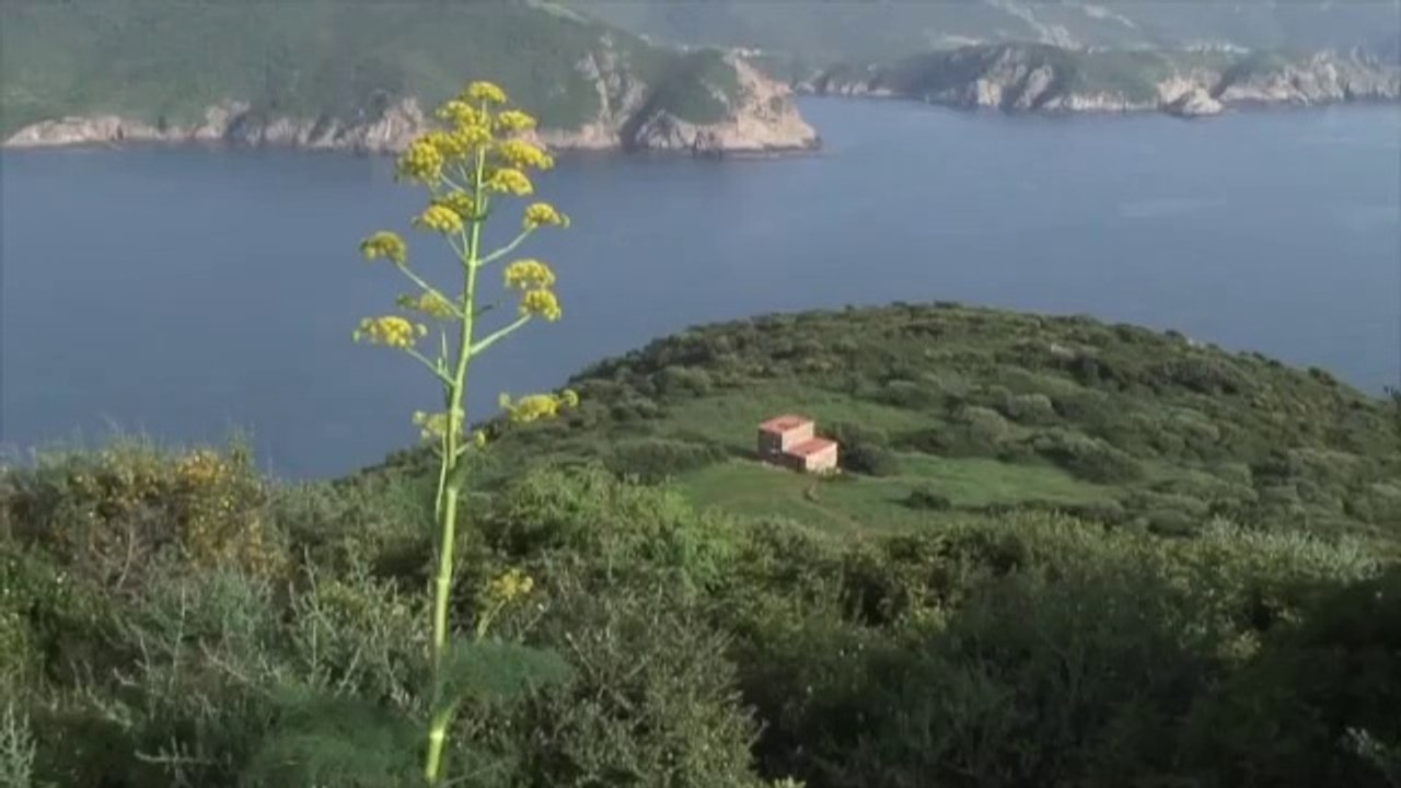La Corse : découverte d'un terroir exceptionnel