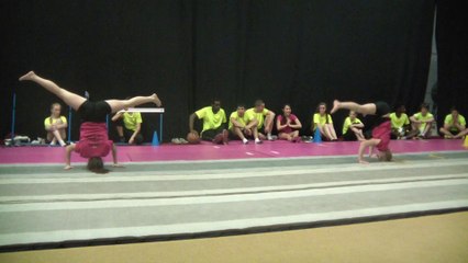 Athénée royal de Jambes  SIEP 2014 - 2