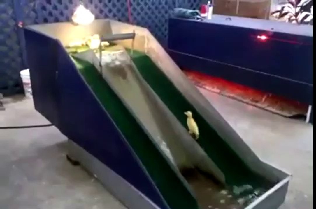 Çocuk herzaman çocuktur...
