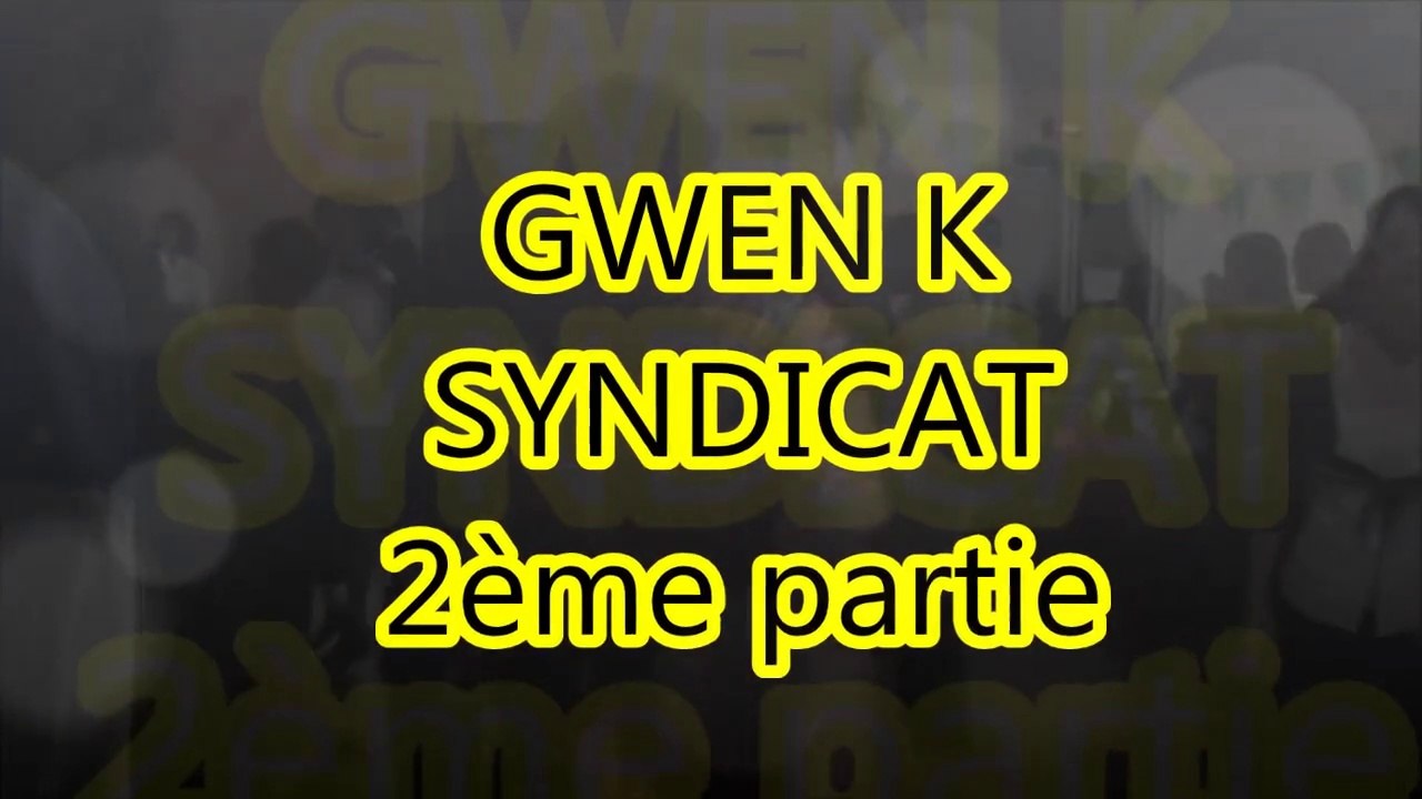 Fest noz St Patrick 29 mars 2014 à St Maixent l'Ecole vidéo n°6