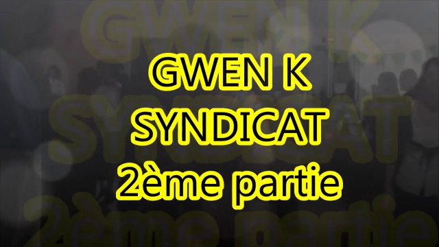 Fest noz St Patrick 29 mars 2014 à St Maixent l'Ecole vidéo n°6