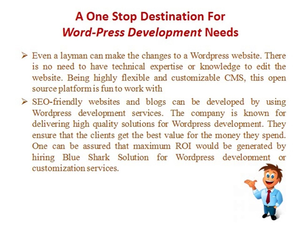Blue Shark Solution – A one stop destination for Wordpress development needs