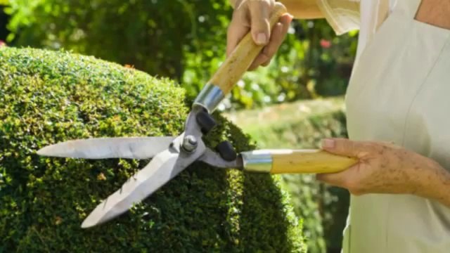 All American Remodling and Landscaping (817) 381-1775