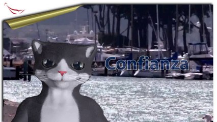 frases para enamorar- si estas en una relación 1