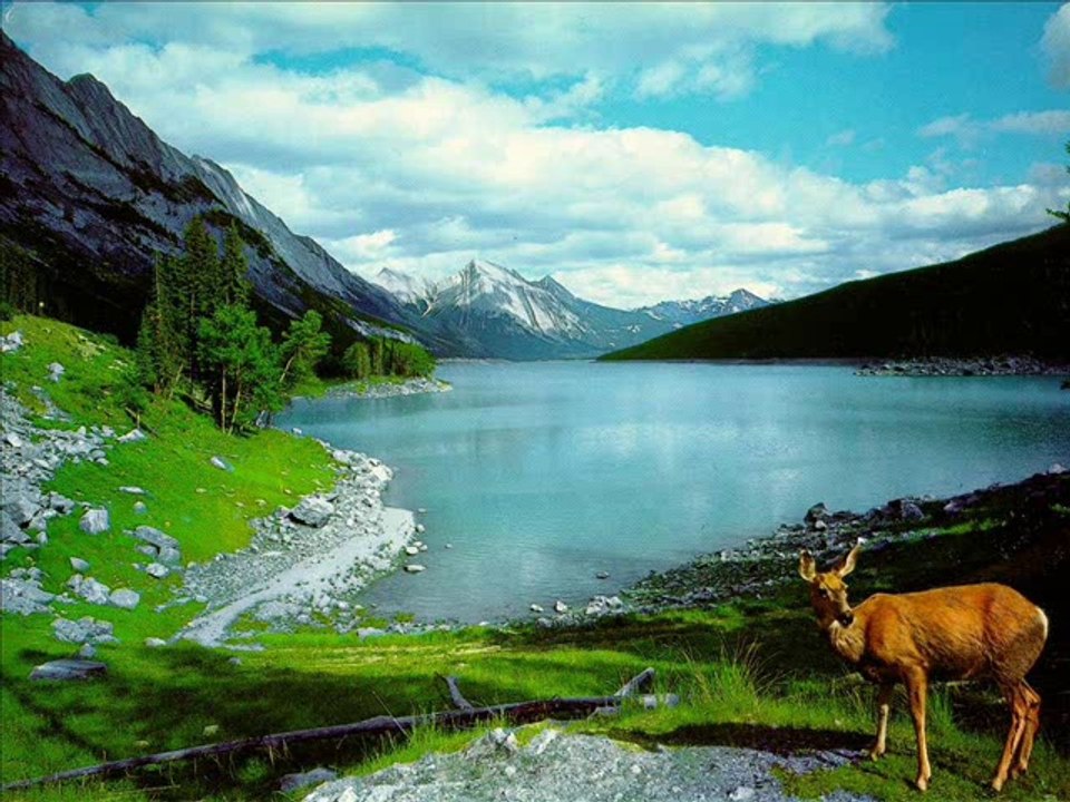 Beautiful Nature