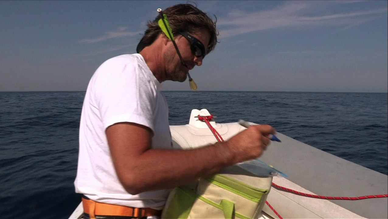 Extrait Méditerranée, sur la piste des cétacés