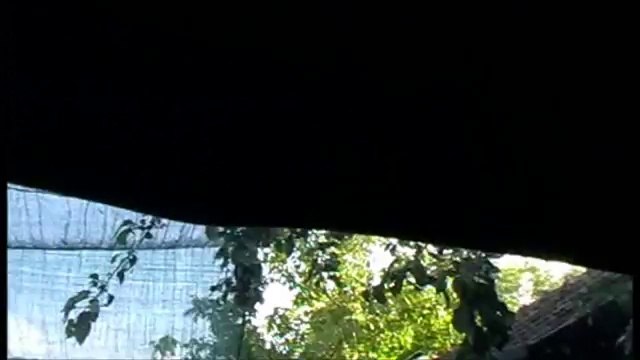 Demontare parbriz Dacia 1310 1307 1304