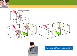 Optimismo aprendido seligman