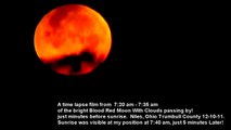BLOOD RED LUNAR ECLIPSE Cat Runs Across Moon