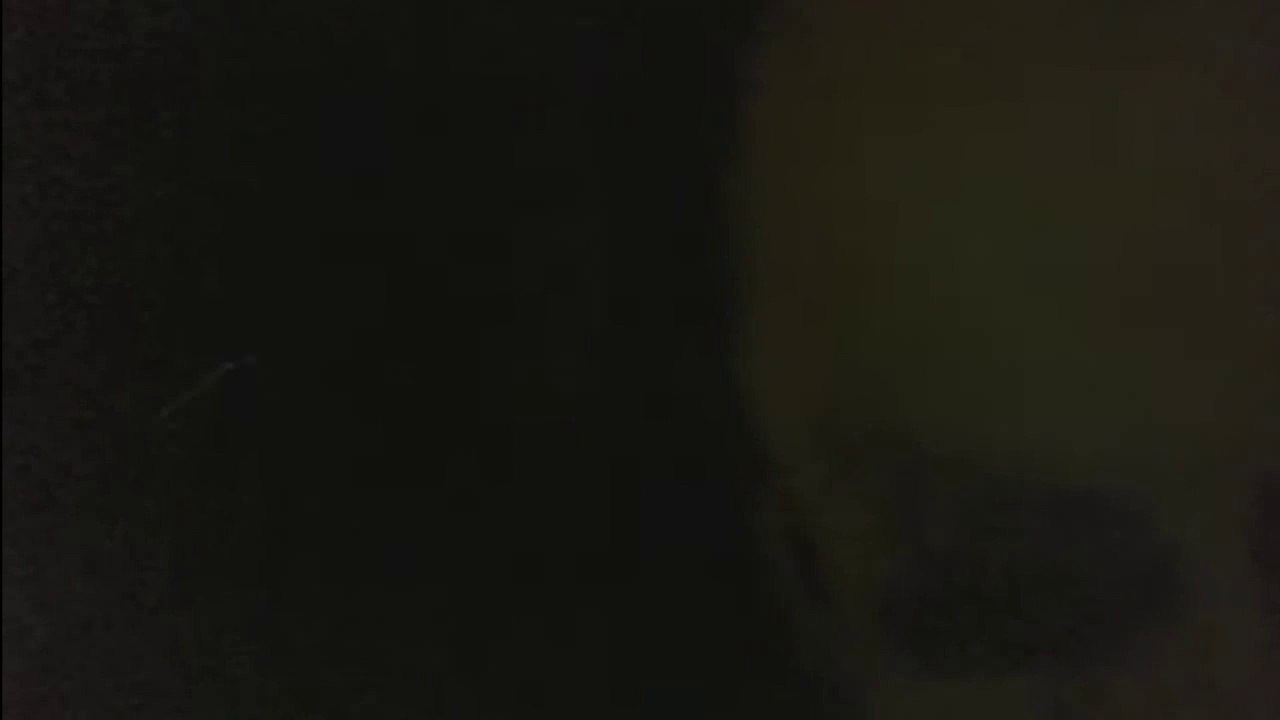 CELL PHONE VIDEO ENHANCED FOOTAGE OF FLYING MONSTER MOTHMAN?