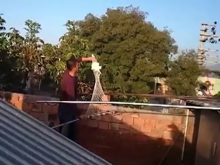 avare-kus-boyle-yakalanir